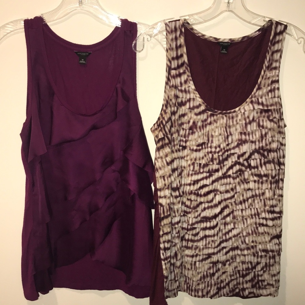 TWO Ann Taylor Blouses ⭐️